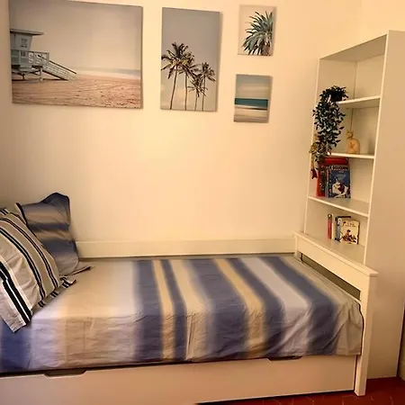 Cozy * 멍똥